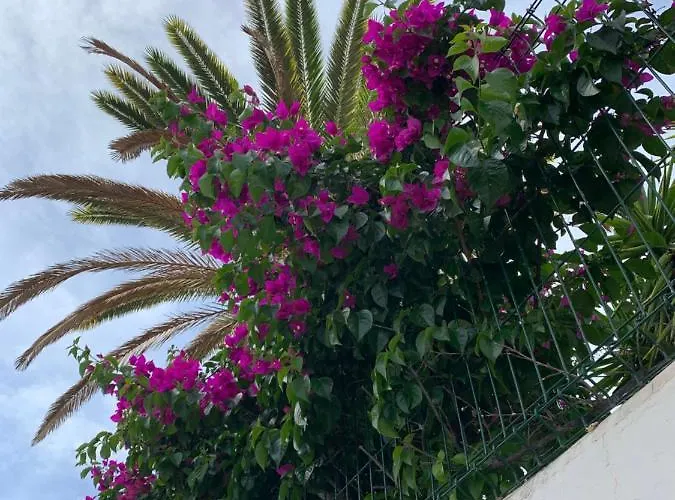 Elena Costa Adeje (Tenerife)