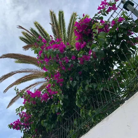 Elena Costa Adeje (Tenerife)